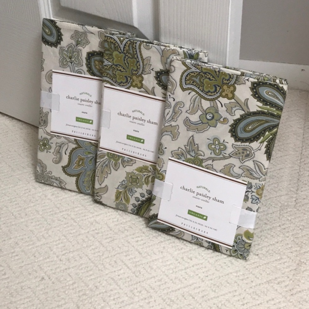 Pottery Barn 3 Euro shams